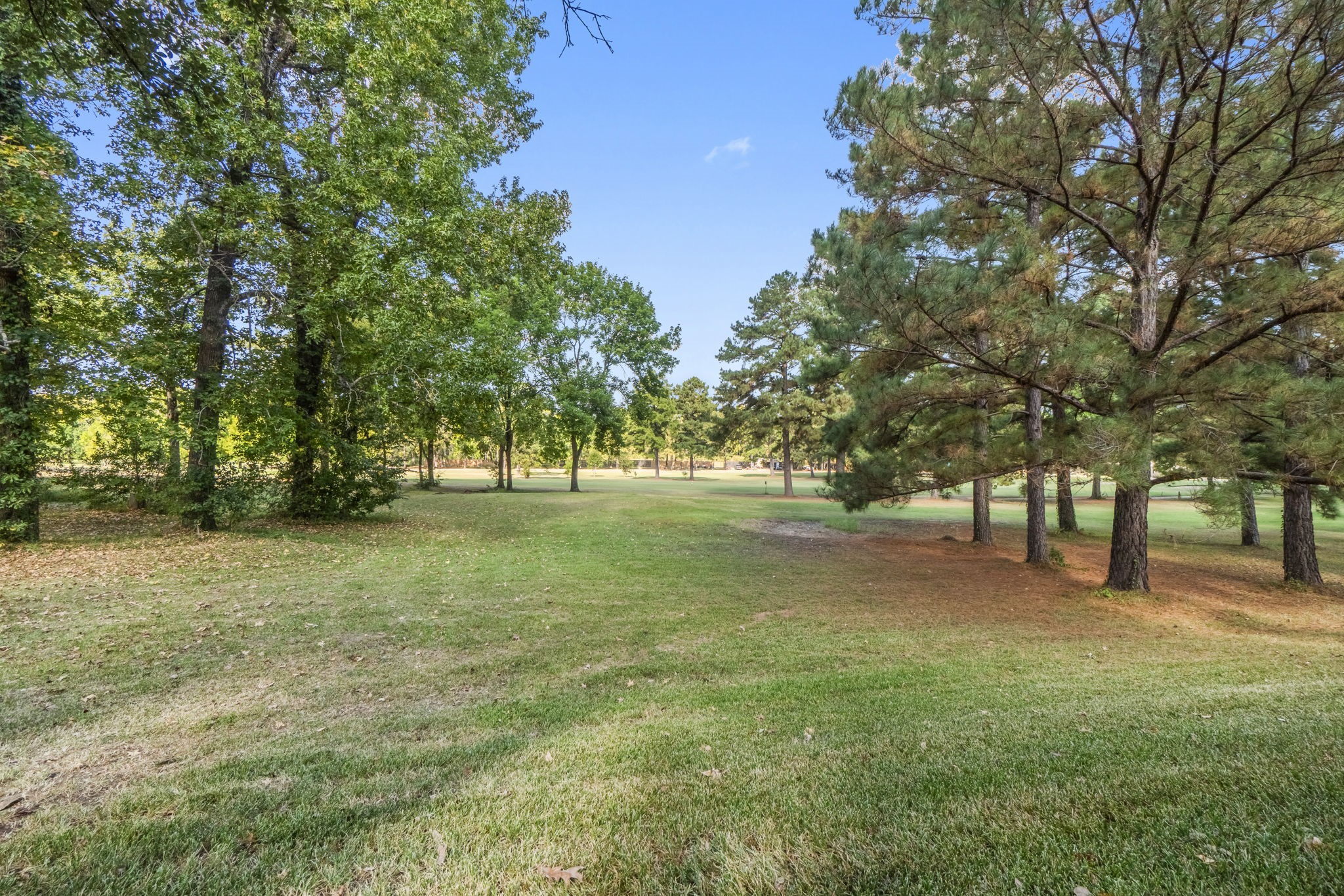 132 Mockingbird Lane Livingston, TX 77351 - Photo 49 of 50 Backyard