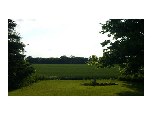 15236 Prairie Road South Beloit, IL 61080 - Photo 10 of 11 a view of a house with a yard