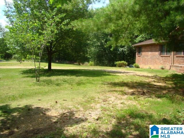 366 Curtis Avenue Ohatchee, AL 36271 - Photo 8 of 23