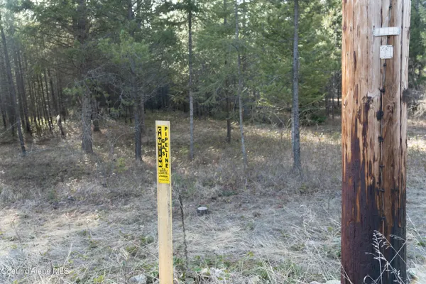 $155,000 | Nna Roosevelt Street, Bonners Ferry, ID 83805