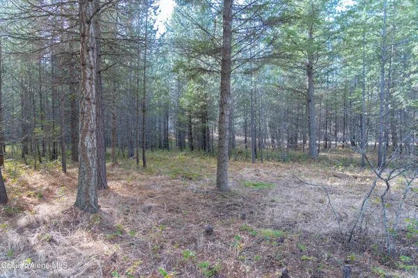 $155,000 | Nna Roosevelt Street, Bonners Ferry, ID 83805