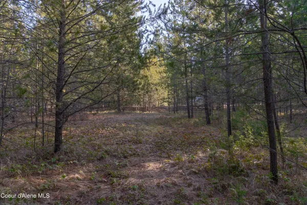 $155,000 | Nna Roosevelt Street, Bonners Ferry, ID 83805