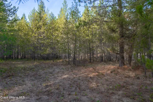 $155,000 | Nna Roosevelt Street, Bonners Ferry, ID 83805