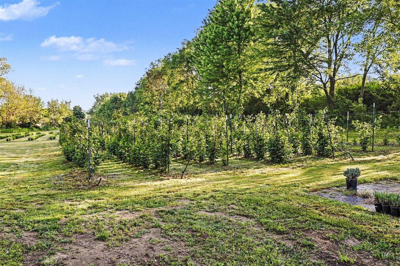 2175 East Hinchman Road Berrien Springs, MI 49103 - Photo 39 of 62