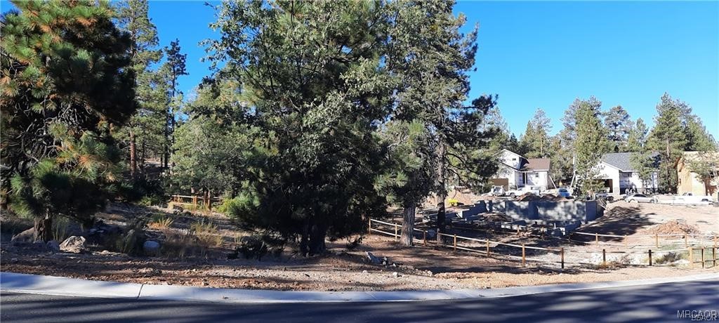 810 Talmadge Road Big Bear Lake, CA 92315 - Photo 11 of 18
