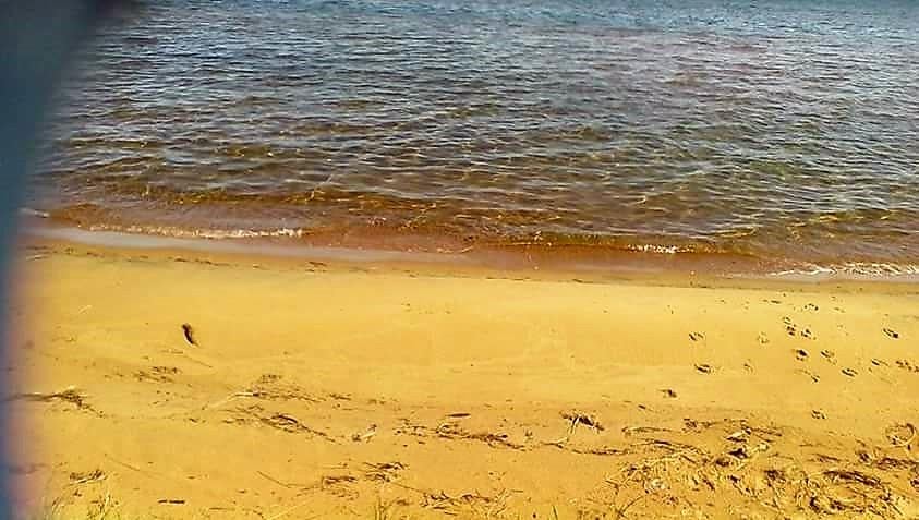 14196 North Whitefish Point Road Paradise, MI 49768 - Photo 11 of 46 Gallery Image 11