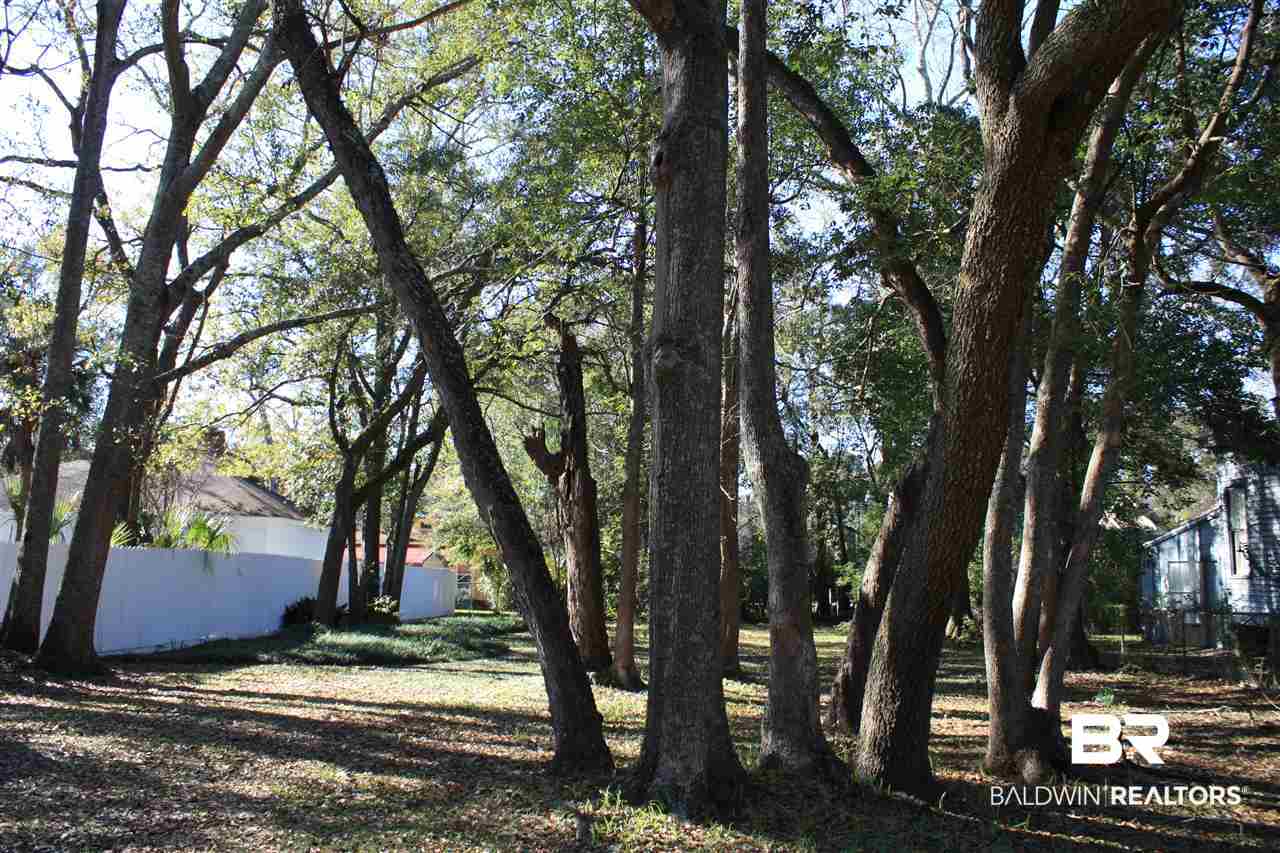 260 South Ann Street Mobile, AL 36604 - Photo 21 of 23