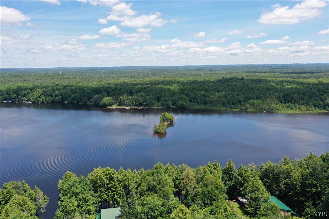 1062 Fern Cliff Road Remsen, NY 13438 - Photo 11 of 50