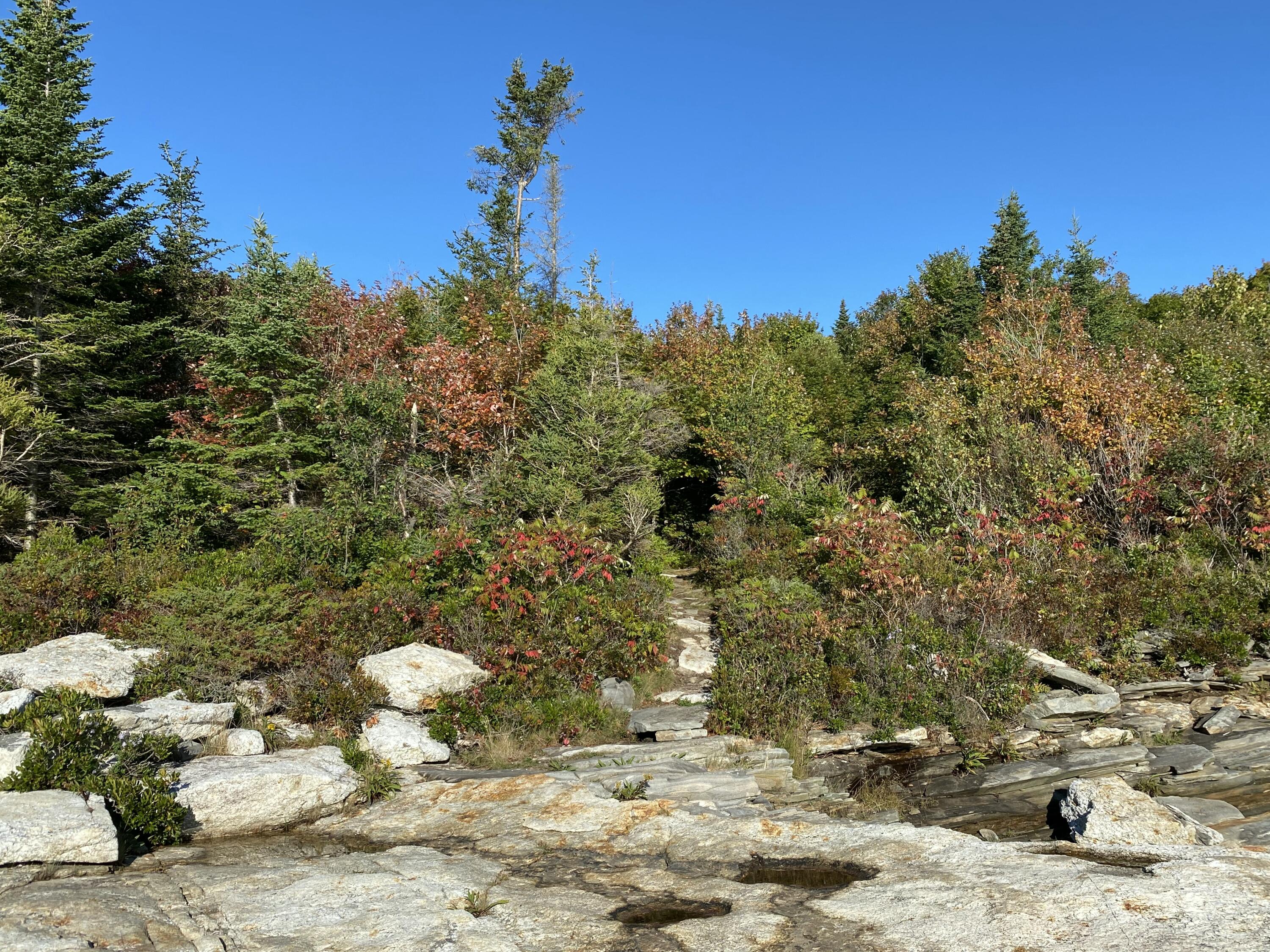 42 Old Mill Road New Harbor, ME 04554 - Photo 56 of 65 Path from Cunner Rock