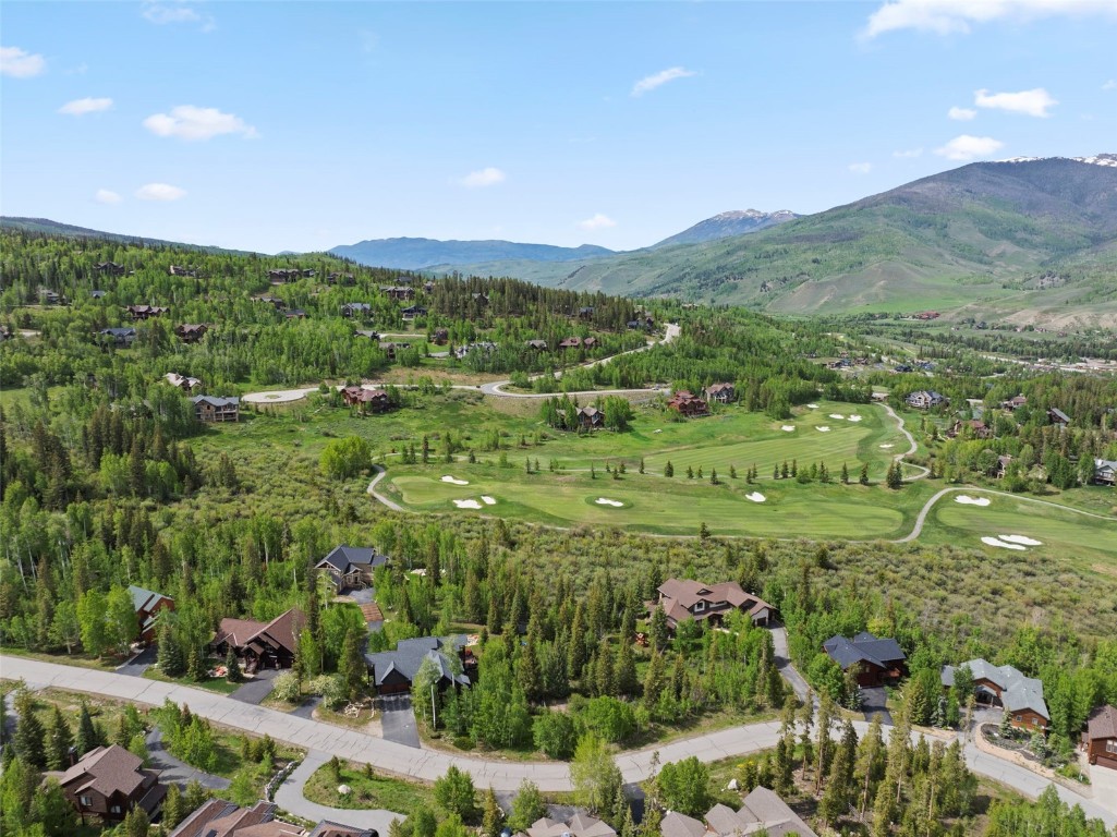 736 Wild Rose Road Silverthorne, CO 80498 - Photo 9 of 49 a view of a green and green yard