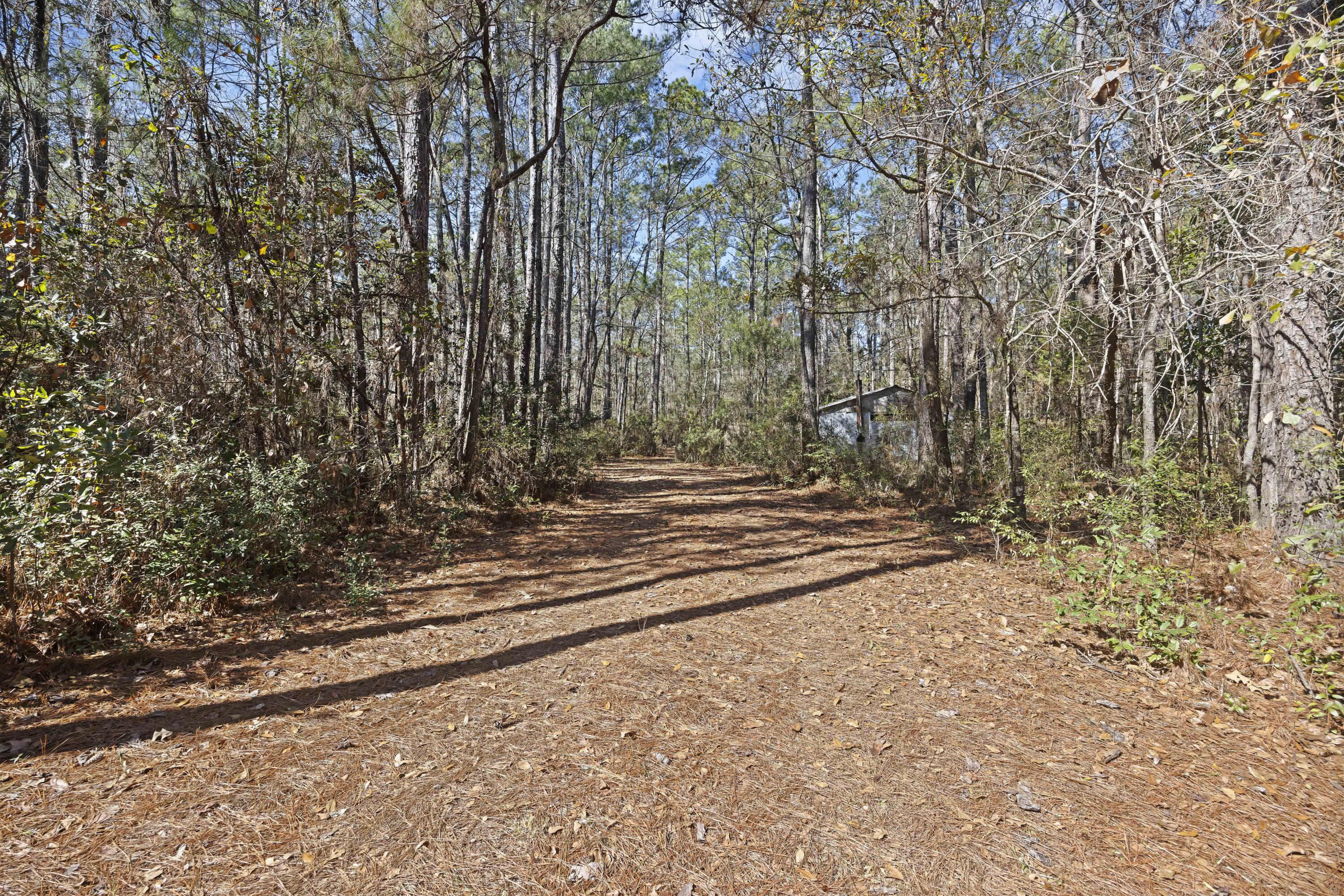 9168 Old Georgetown Road McClellanville, SC 29458 - Photo 6 of 45 243A0059
