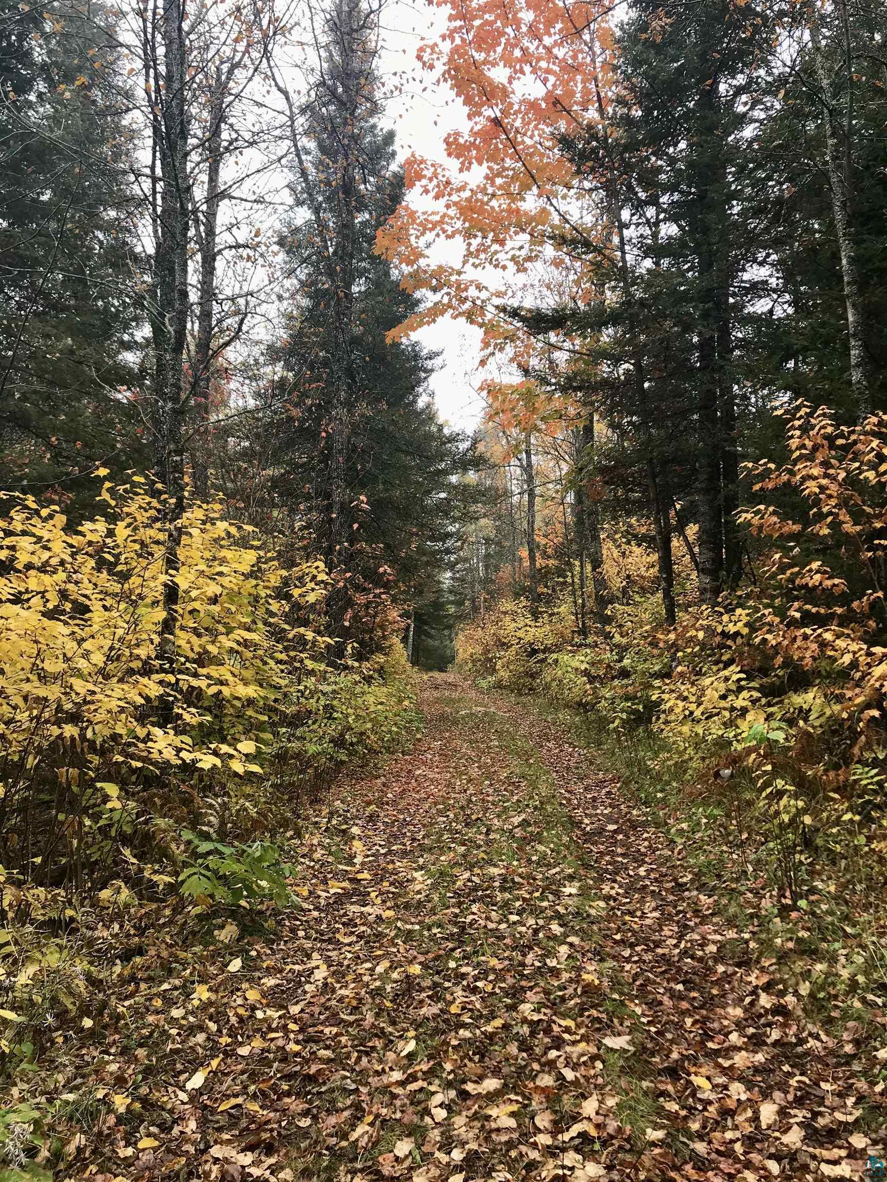 5274 Marble Lake Road Two Harbors, MN 55616 - Photo 78 of 79 Forested path with natural ground cover, bordered by mature deciduous and evergreen trees, featuring varied autumn foliage