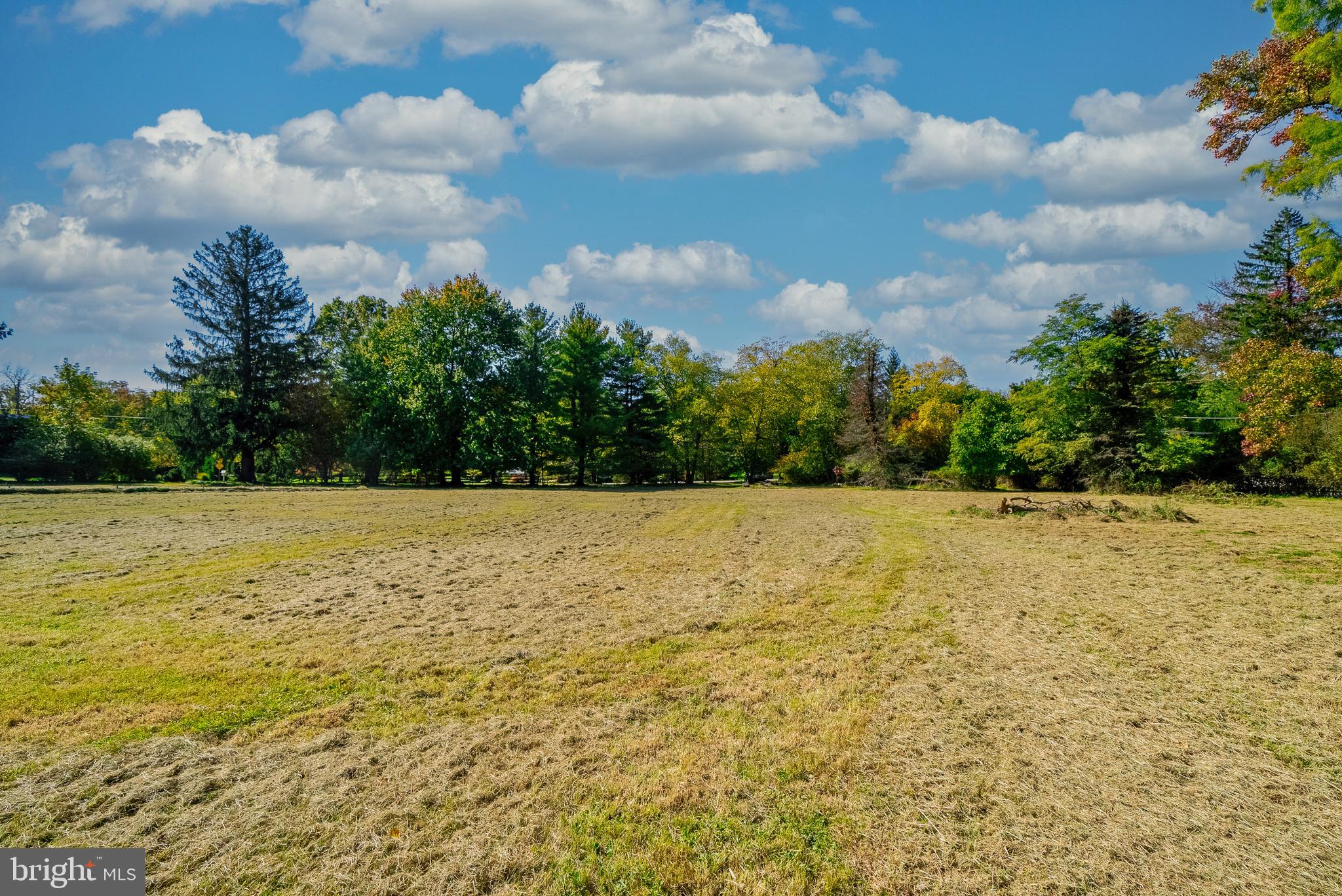 437 South Fairfield Road Devon, PA 19333 - Photo 4 of 16 Grounds