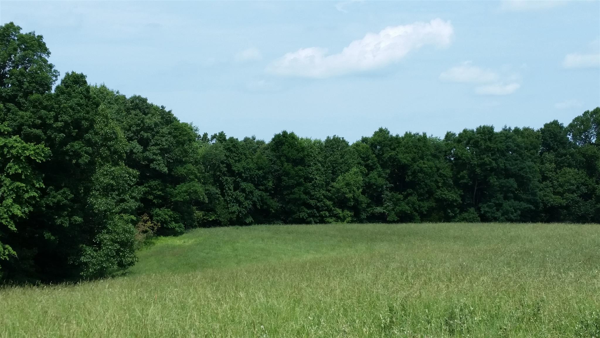 4 Liberty Road Fairview, TN 37062 - Photo 1 of 13 a view of outdoor space and yard