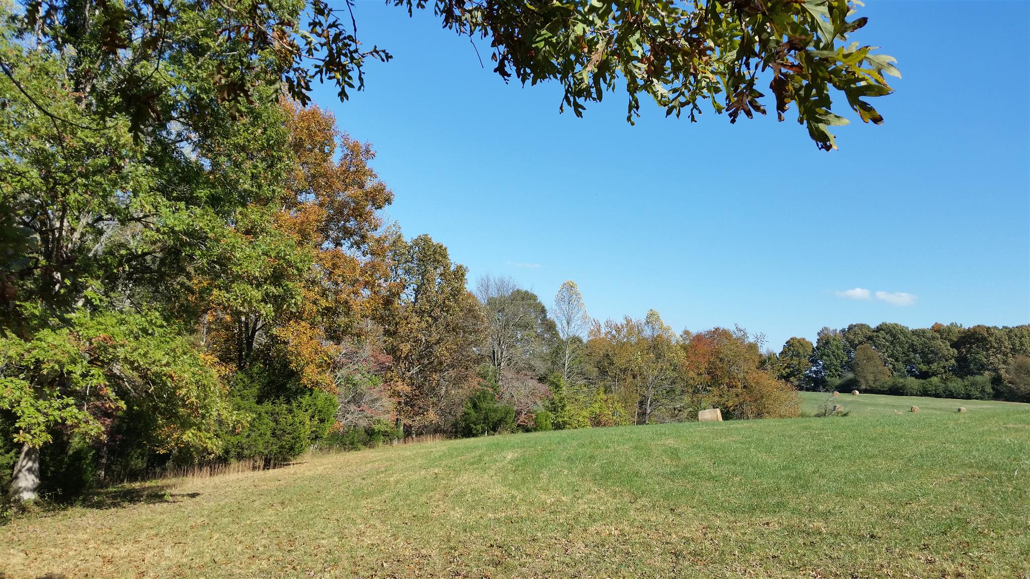 4 Liberty Road Fairview, TN 37062 - Photo 12 of 13 a view of an outdoor space and a yard