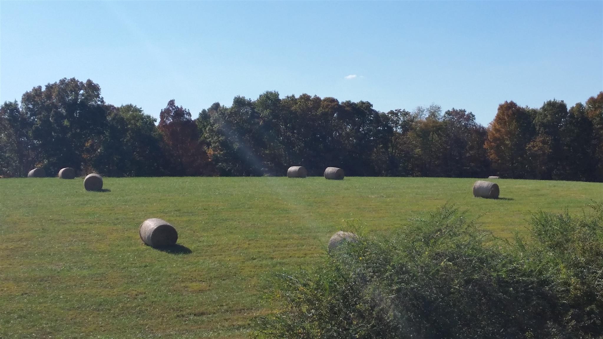 4 Liberty Road Fairview, TN 37062 - Photo 13 of 13 a view of a golf course with a garden