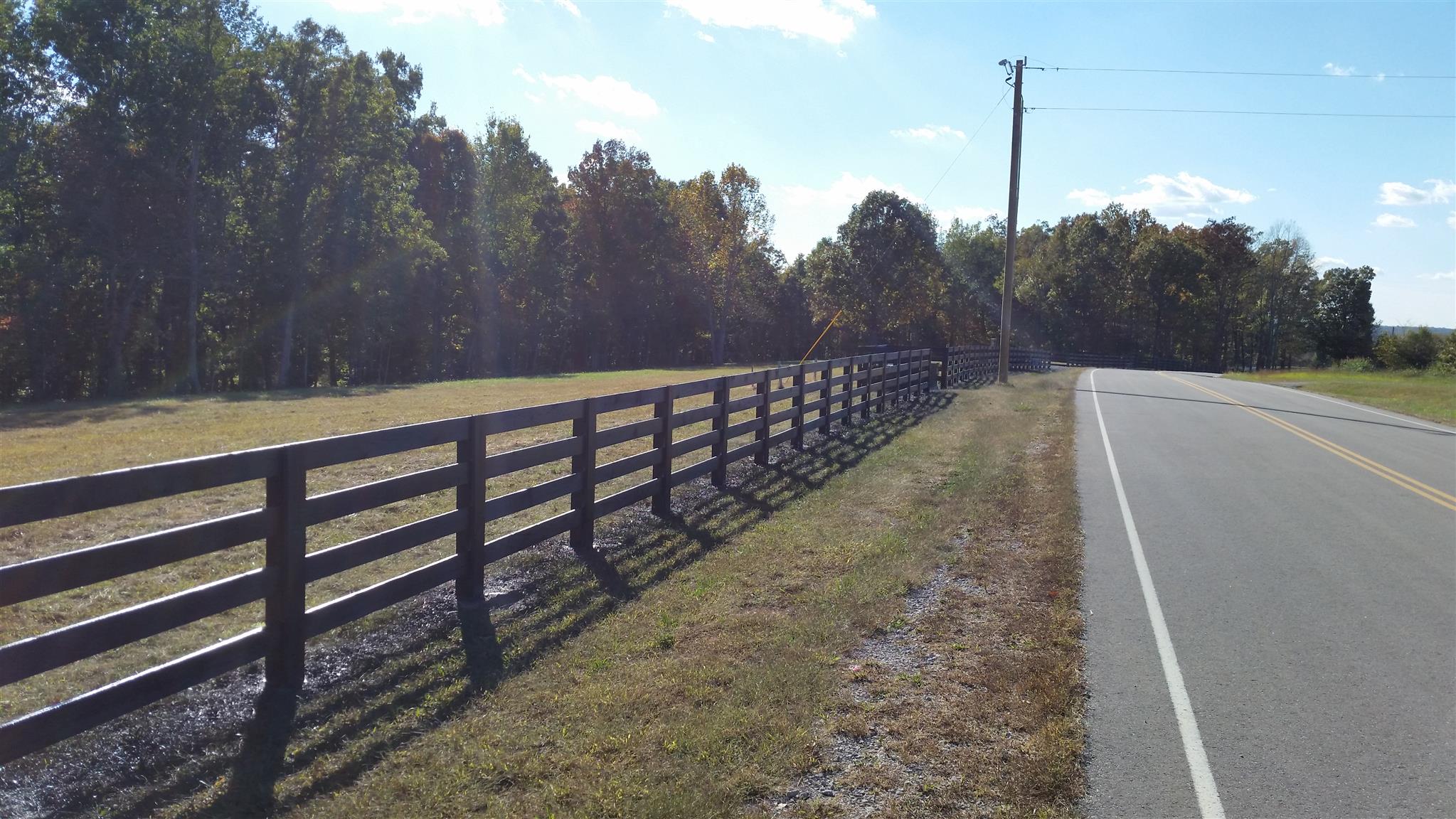 4 Liberty Road Fairview, TN 37062 - Photo 4 of 13 a view of a yard with iron fence