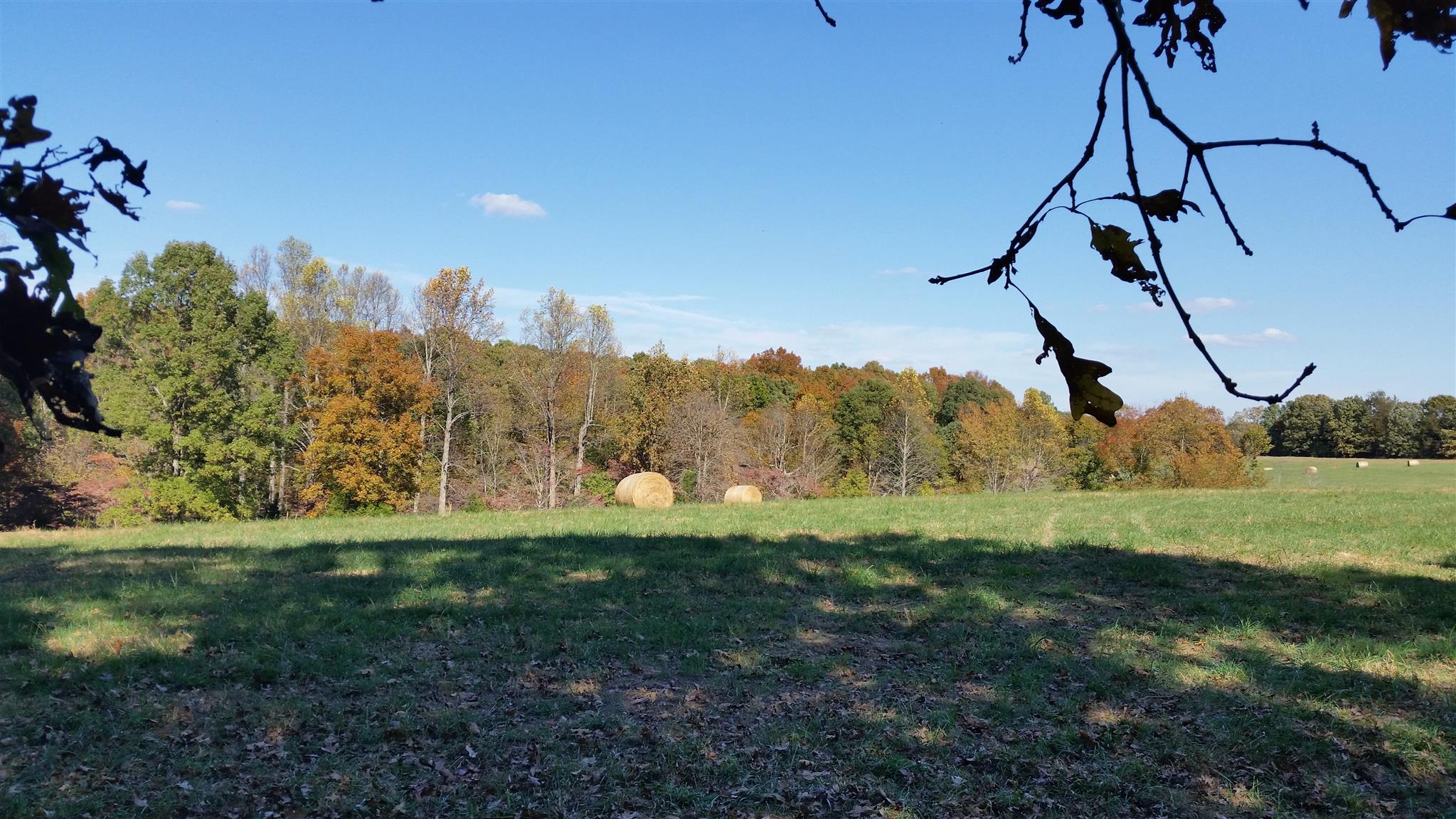 4 Liberty Road Fairview, TN 37062 - Photo 5 of 13 a view of a field and mountains