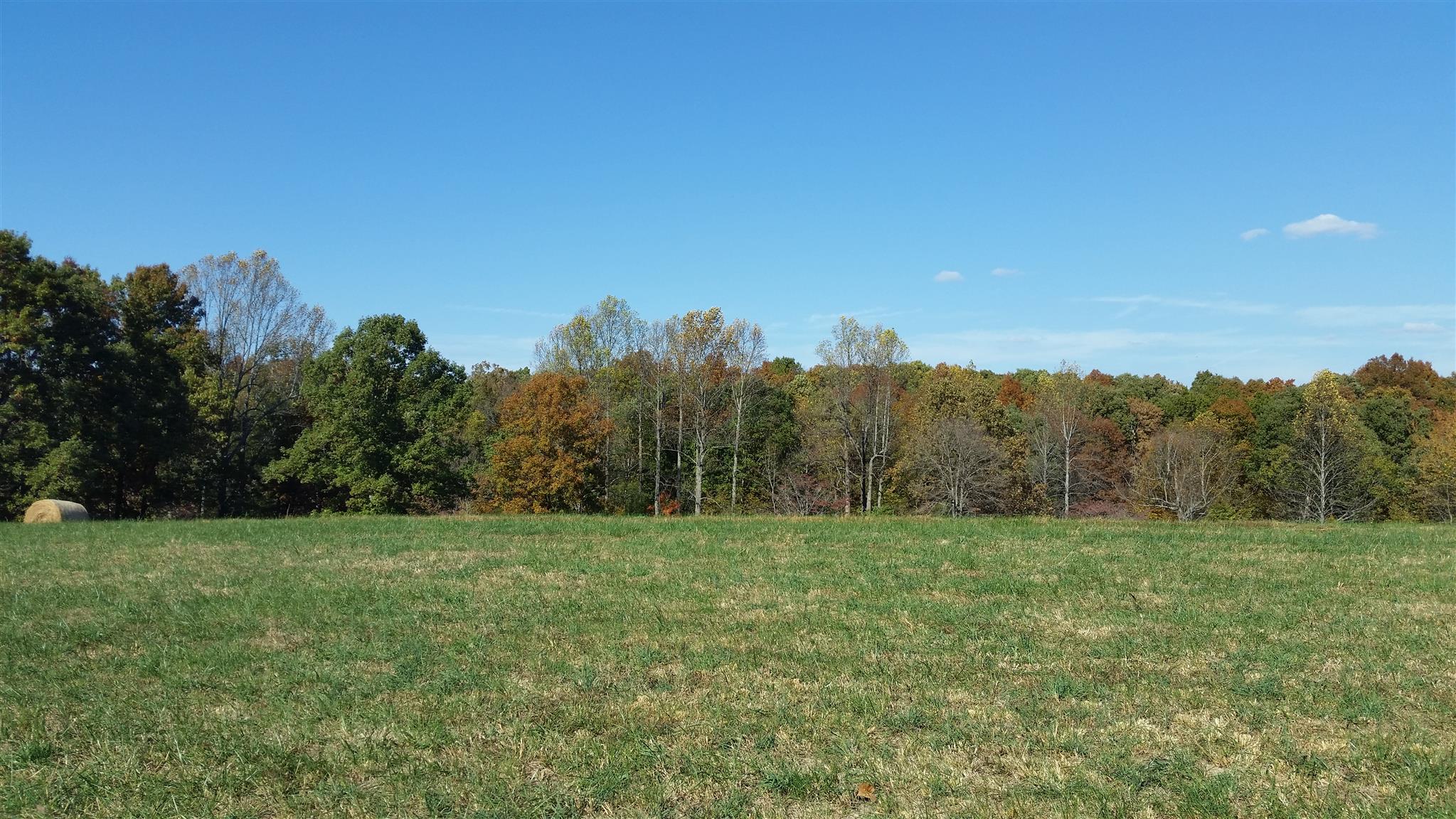 4 Liberty Road Fairview, TN 37062 - Photo 6 of 13 a view of a grassy field with trees in the background