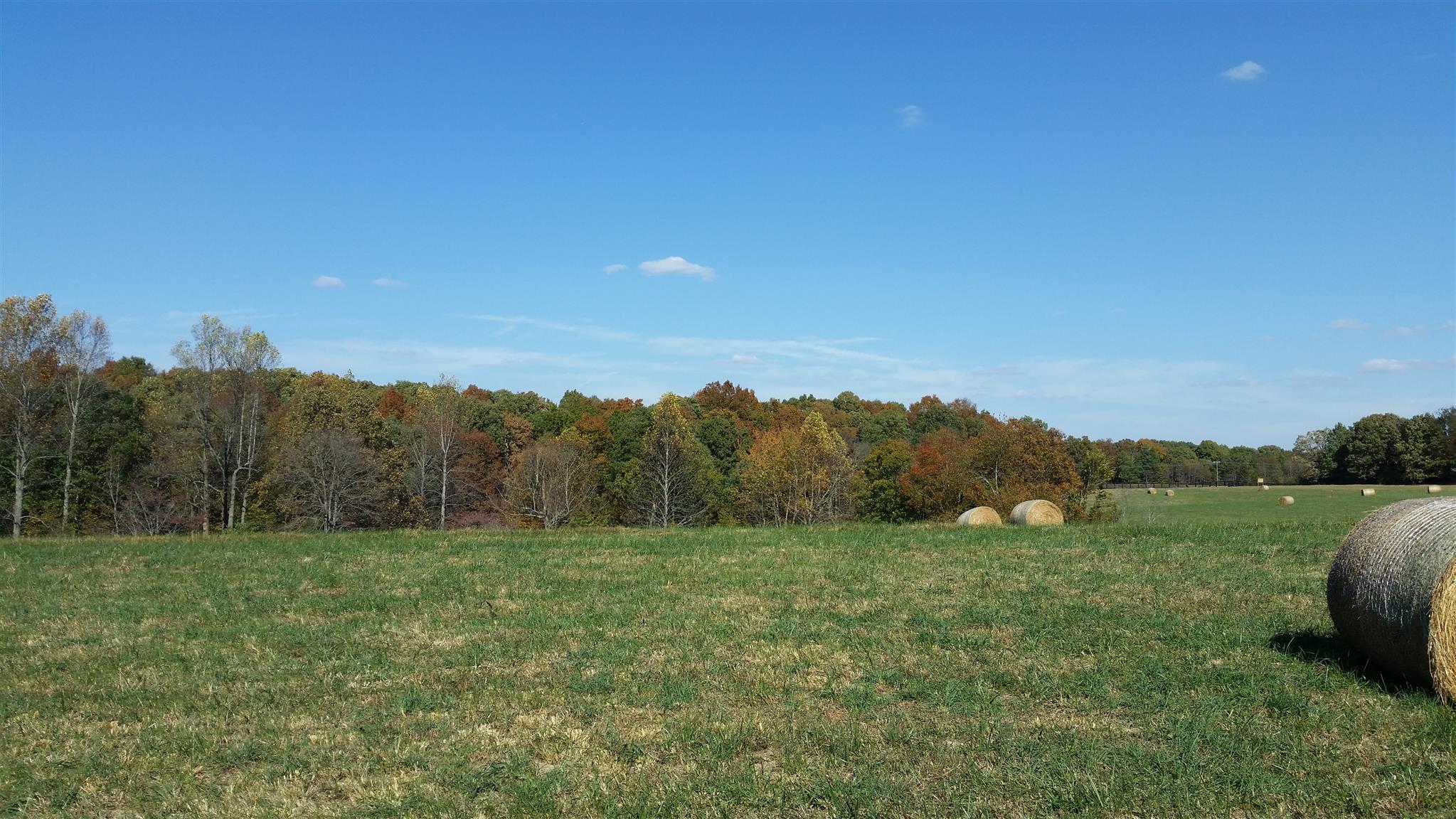 4 Liberty Road Fairview, TN 37062 - Photo 7 of 13 a view of a lush green field