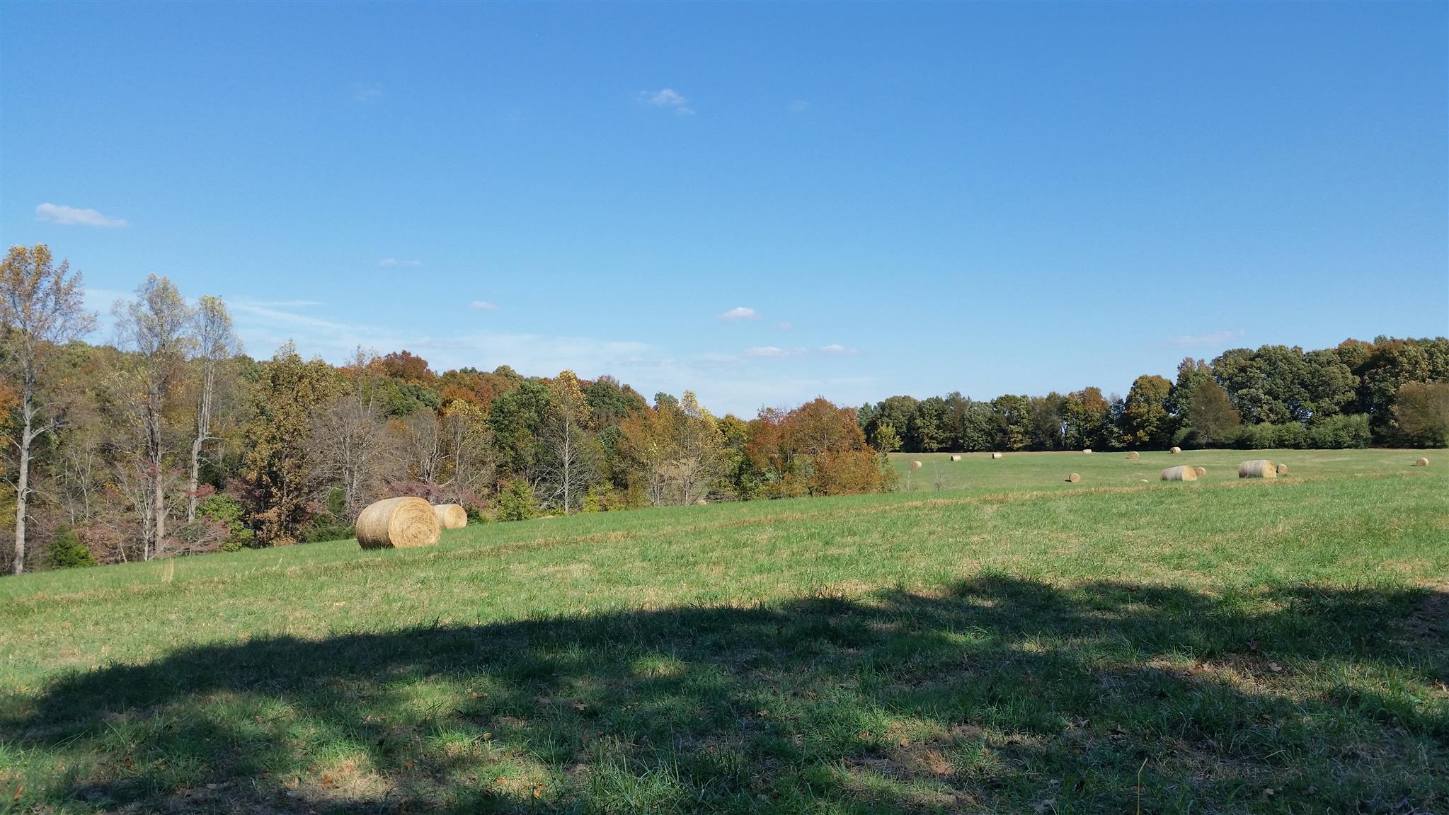 4 Liberty Road Fairview, TN 37062 - Photo 8 of 13 a view of an outdoor space and yard