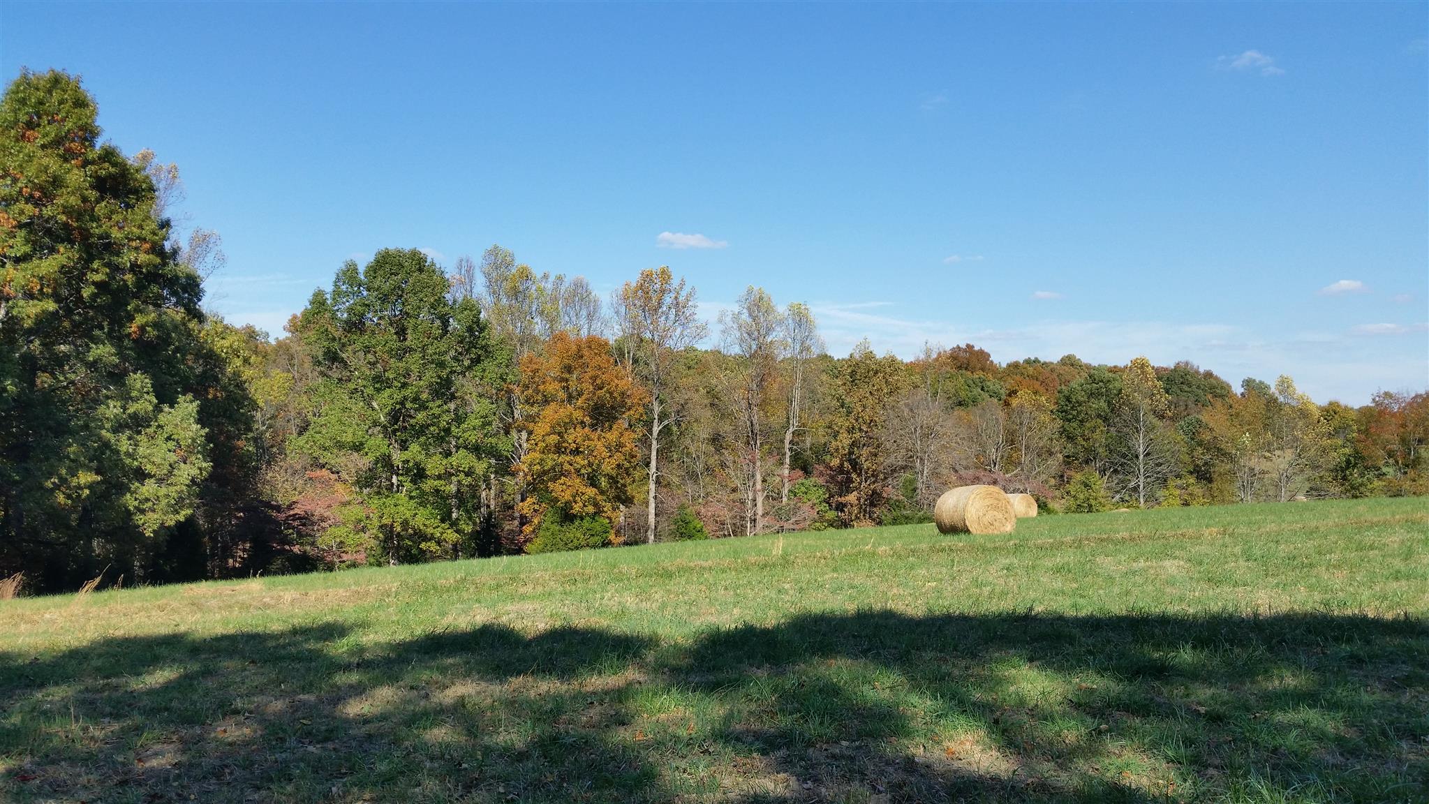4 Liberty Road Fairview, TN 37062 - Photo 9 of 13 a view of a trees in a field