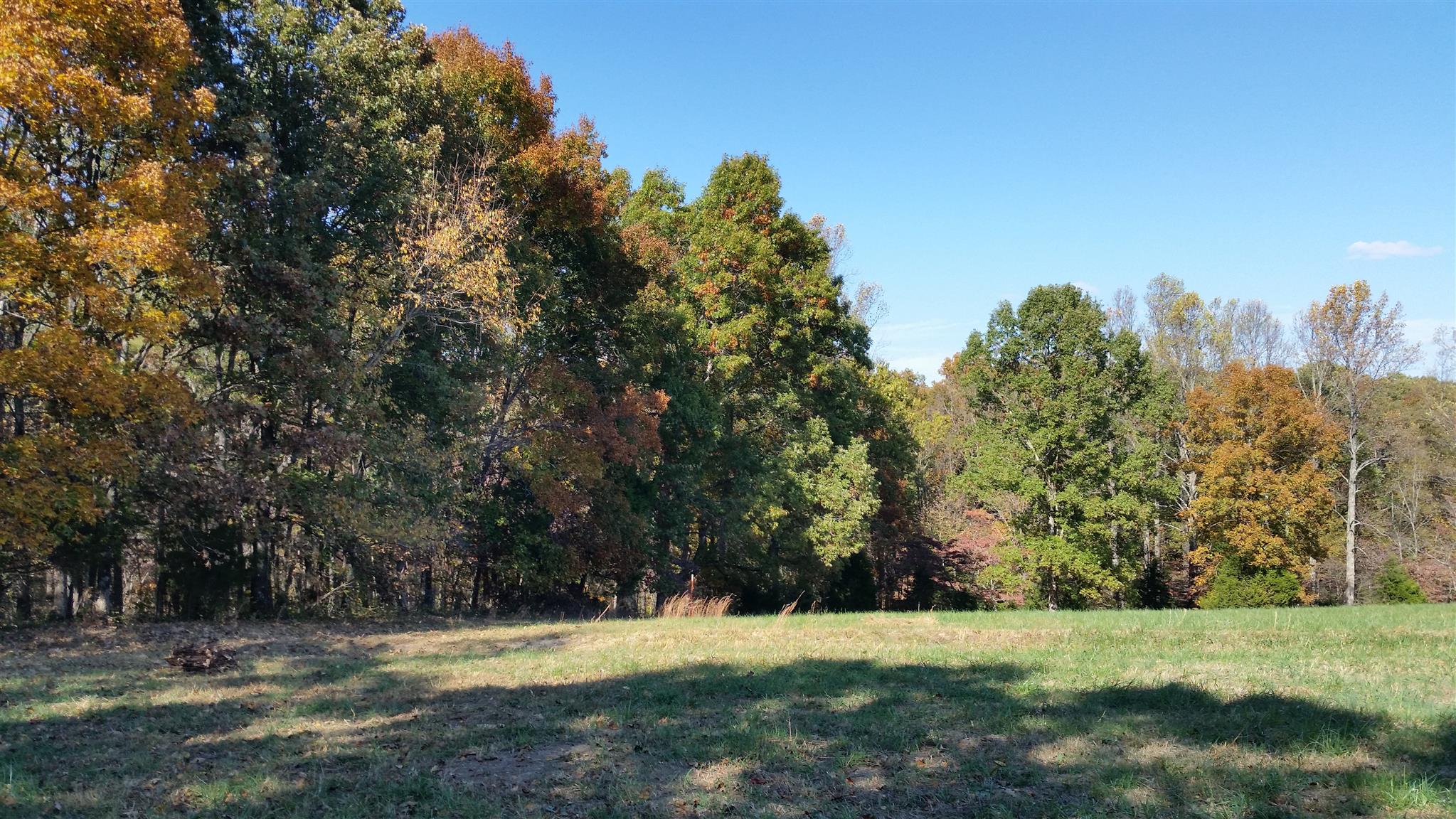 4 Liberty Road Fairview, TN 37062 - Photo 10 of 13 a view of a tree in a field