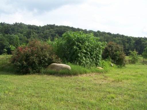 406 Griffith Road Pikeville, TN 37367 - Photo 12 of 28 Additional Photo