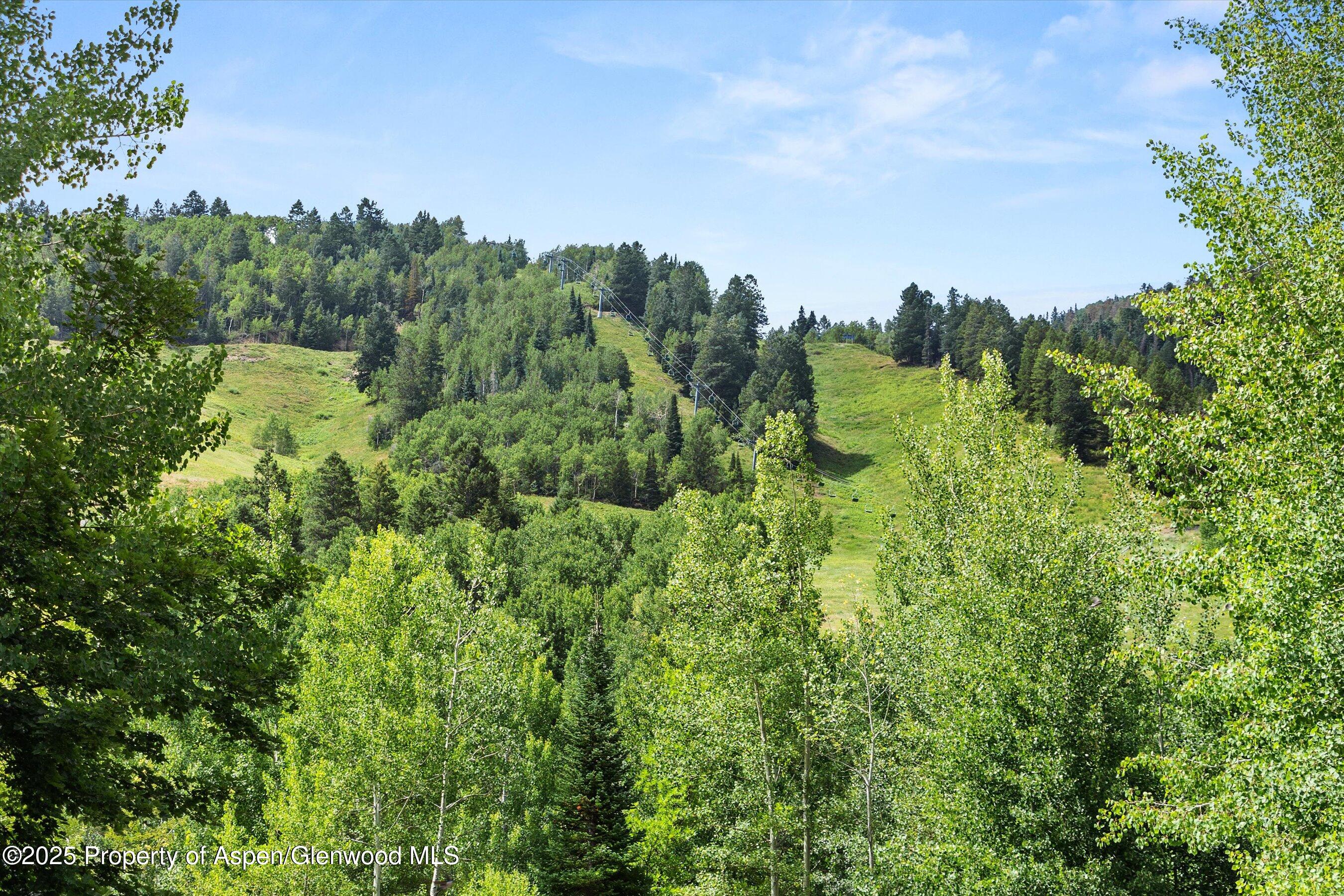 918 South Mill Street, Unit A Aspen, CO 81611 - Photo 31 of 34 an aerial view of a houses with yard