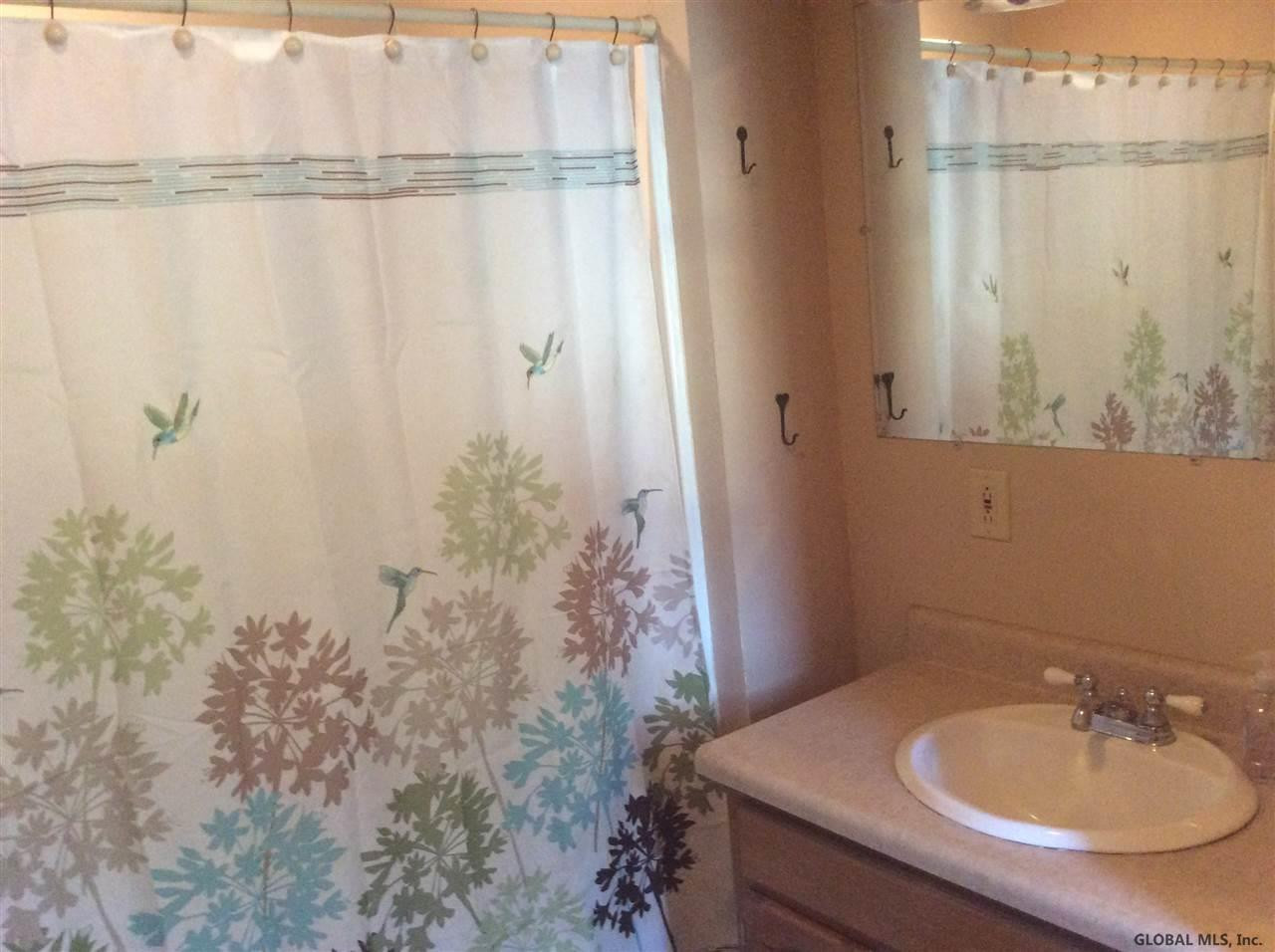 11 Plank Road Halfmoon, NY 12188 - Photo 23 of 25 Photo 23