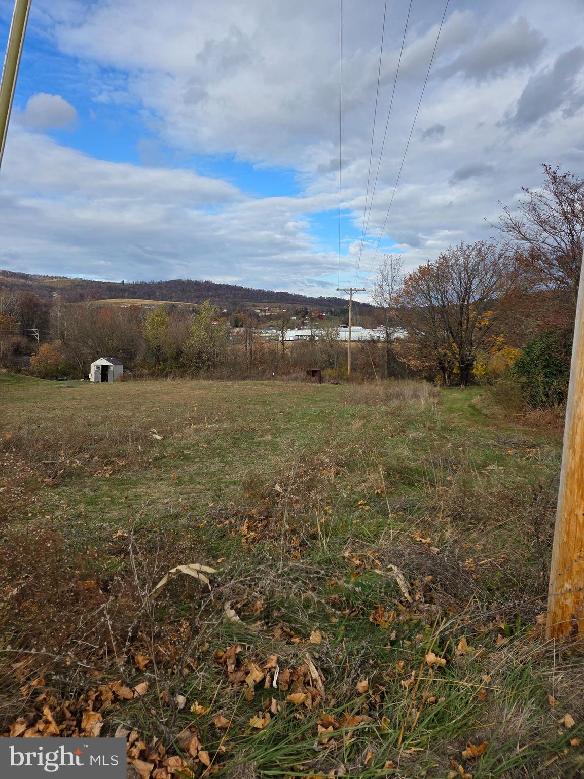a view of a dry yard with trees