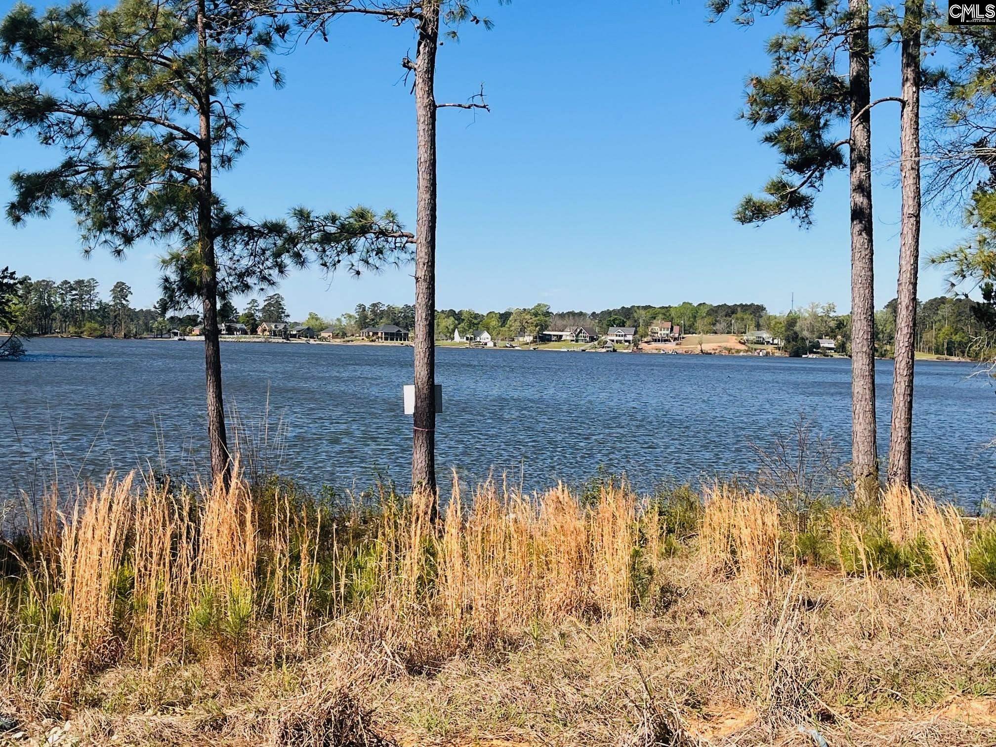 0 Lands End Lane Prosperity, SC 29127 - Photo 20 of 20