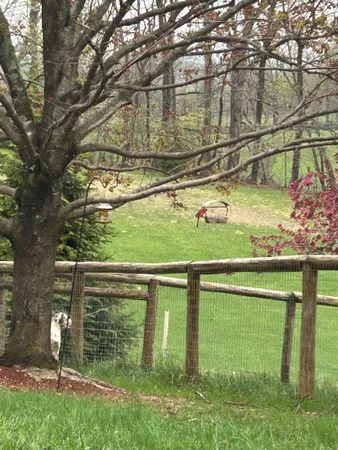 $490,000 | 141 Lori Lane, Churchville, VA 24421