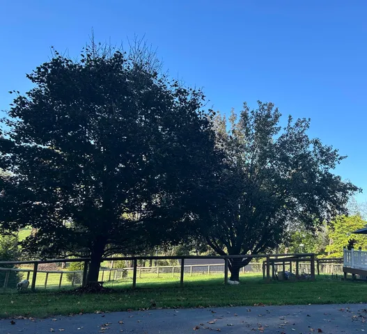 $545,000 | 141 Lori Lane, Churchville, VA 24421