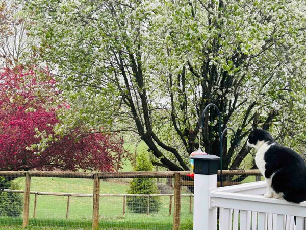 $490,000 | 141 Lori Lane, Churchville, VA 24421