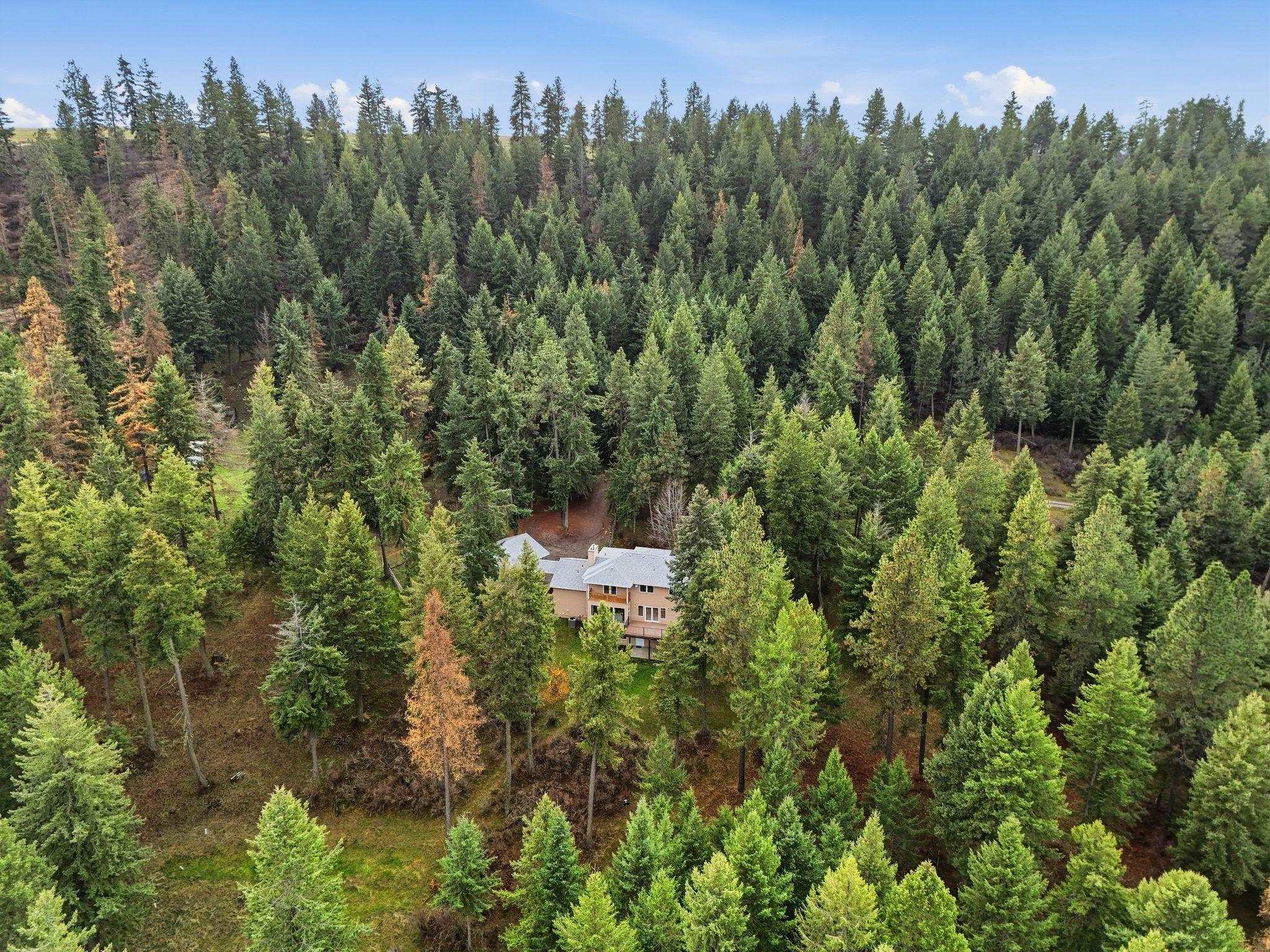 12112 East Burnett Road Mead, WA 99021 - Photo 32 of 45