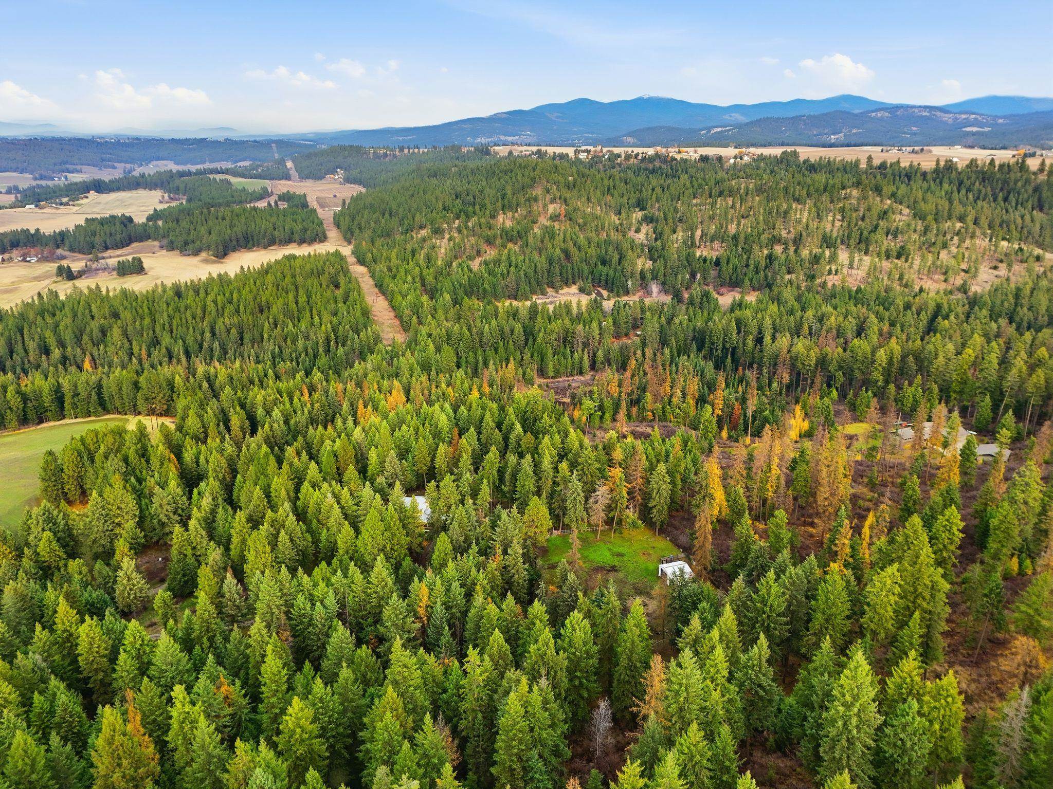 12112 East Burnett Road Mead, WA 99021 - Photo 33 of 45