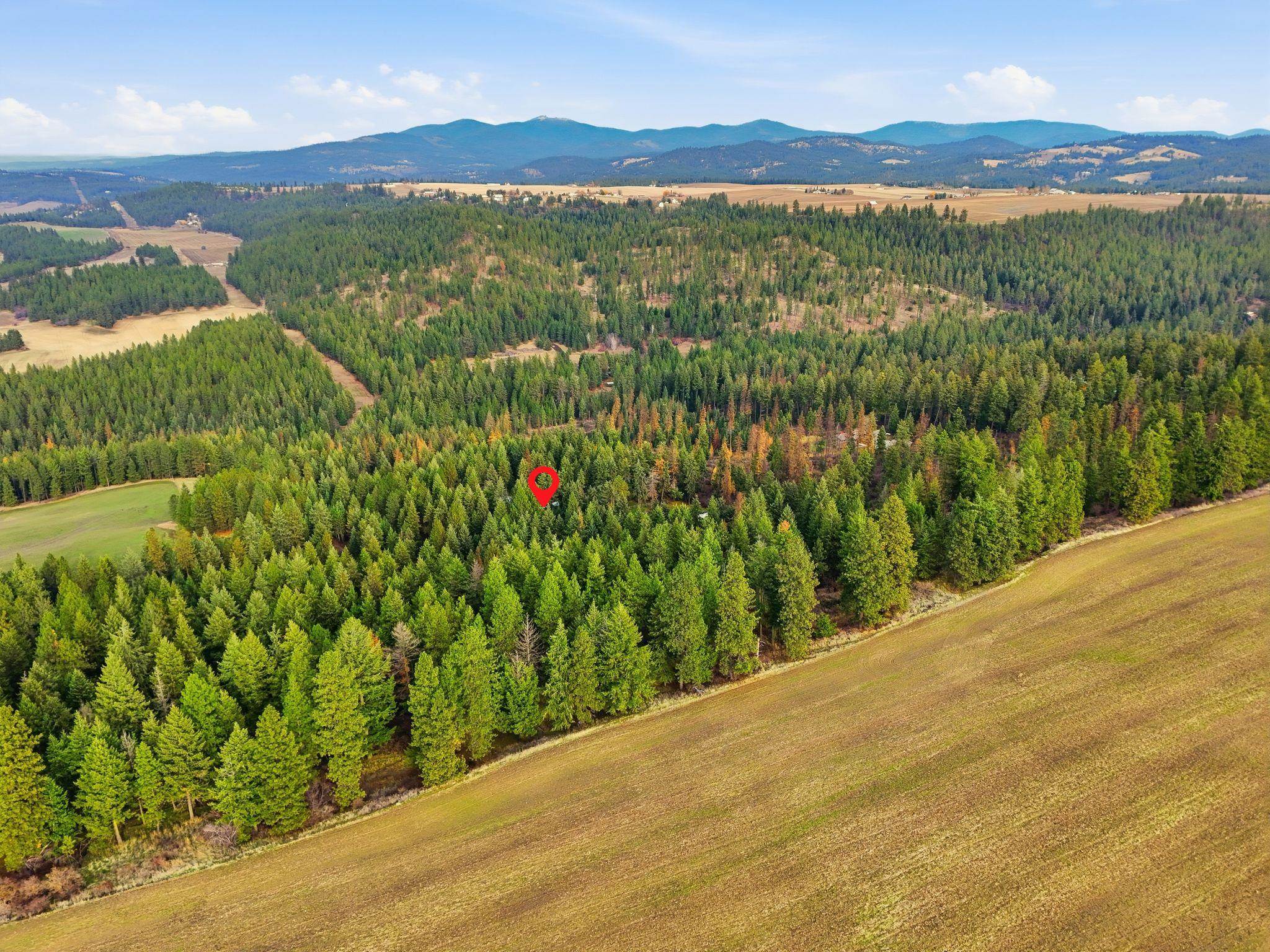 12112 East Burnett Road Mead, WA 99021 - Photo 37 of 45