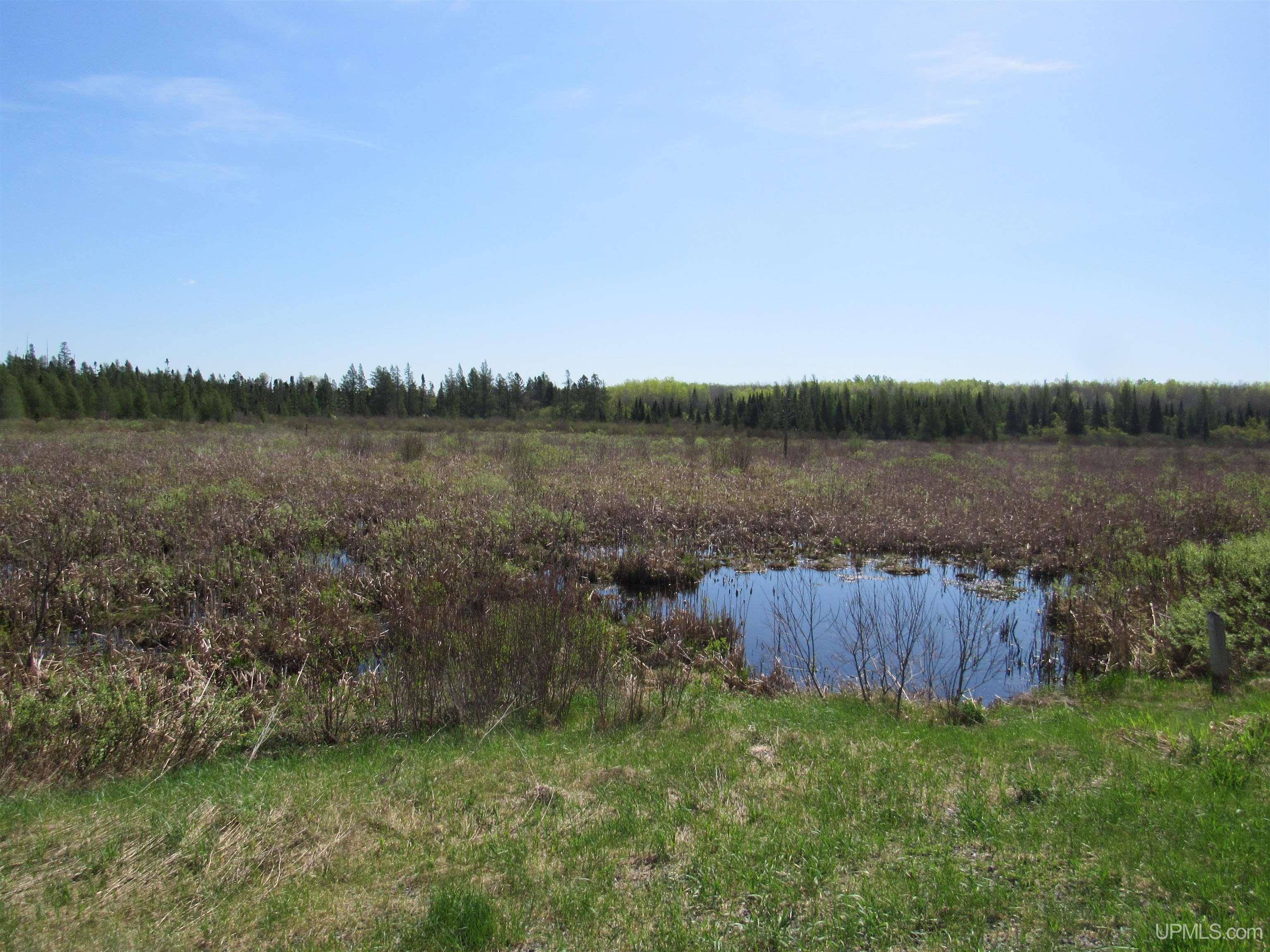 Tbd Us 141 Road, Unit LUKES ROAD Amasa, MI 49903 - Photo 15 of 22