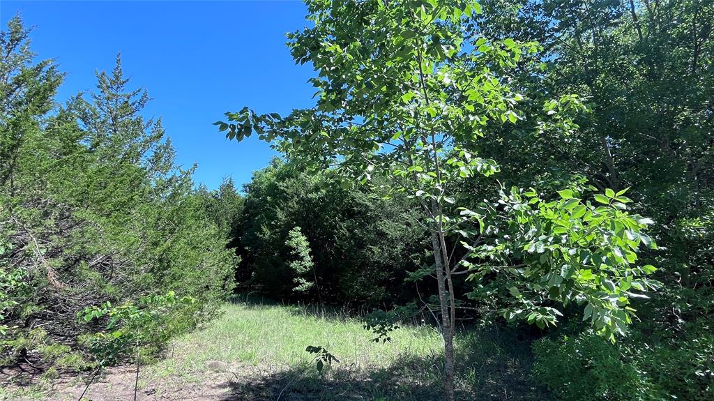 3 Key Road Sherman, TX 75090 - Photo 14 of 20 a view of yard with green space
