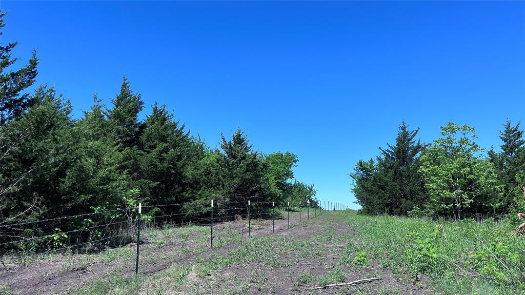 3 Key Road Sherman, TX 75090 - Photo 18 of 20 a backyard of a house with lots of green space