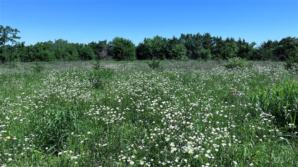 3 Key Road Sherman, TX 75090 - Photo 19 of 20 a view of a lush green forest
