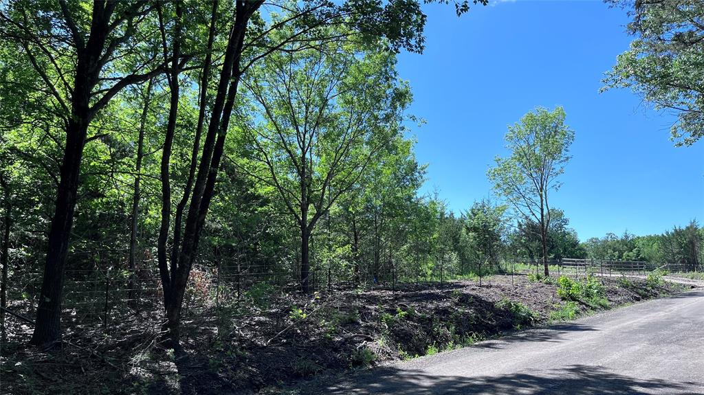 3 Key Road Sherman, TX 75090 - Photo 4 of 20 a view of a forest filled with trees