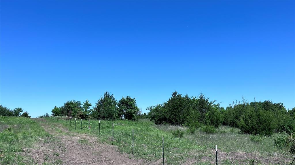 3 Key Road Sherman, TX 75090 - Photo 6 of 20 a view of a field with trees in background