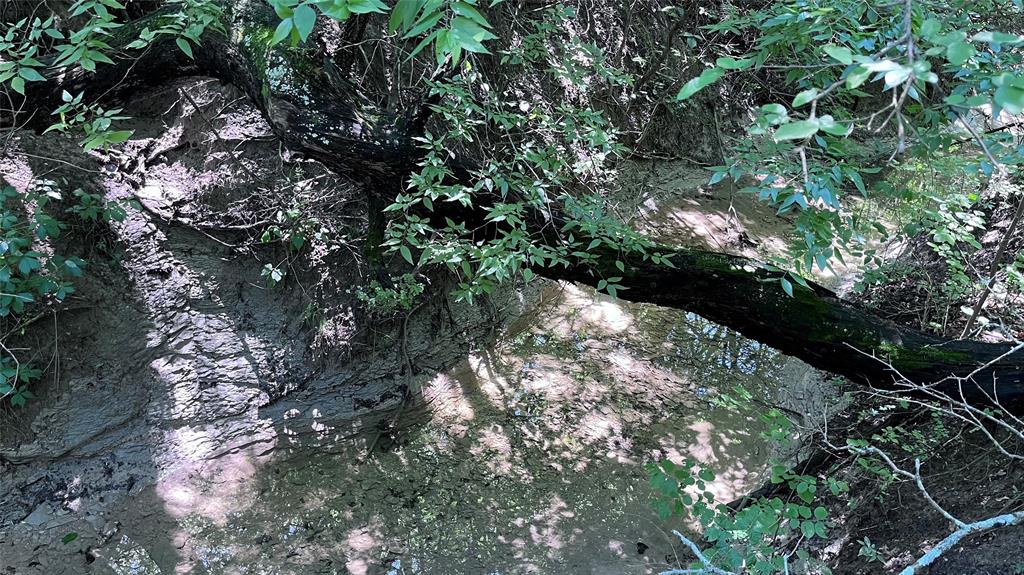 3 Key Road Sherman, TX 75090 - Photo 7 of 20 a view of a tree in a yard