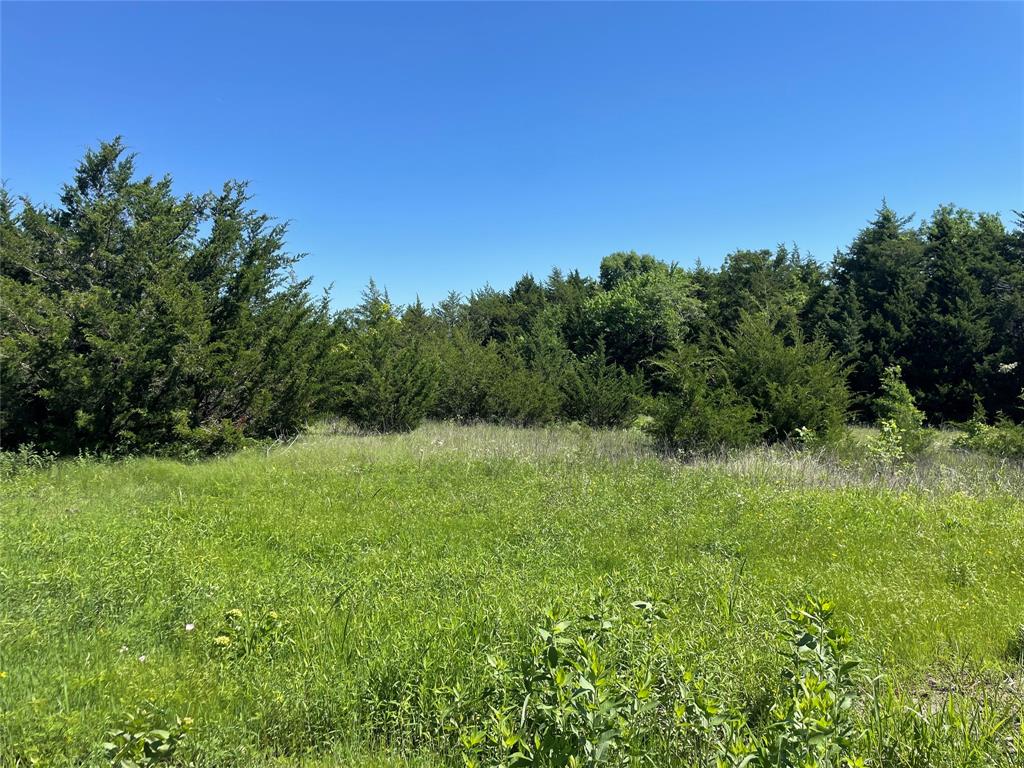 3 Key Road Sherman, TX 75090 - Photo 8 of 20 a view of a grassy field with trees in the background