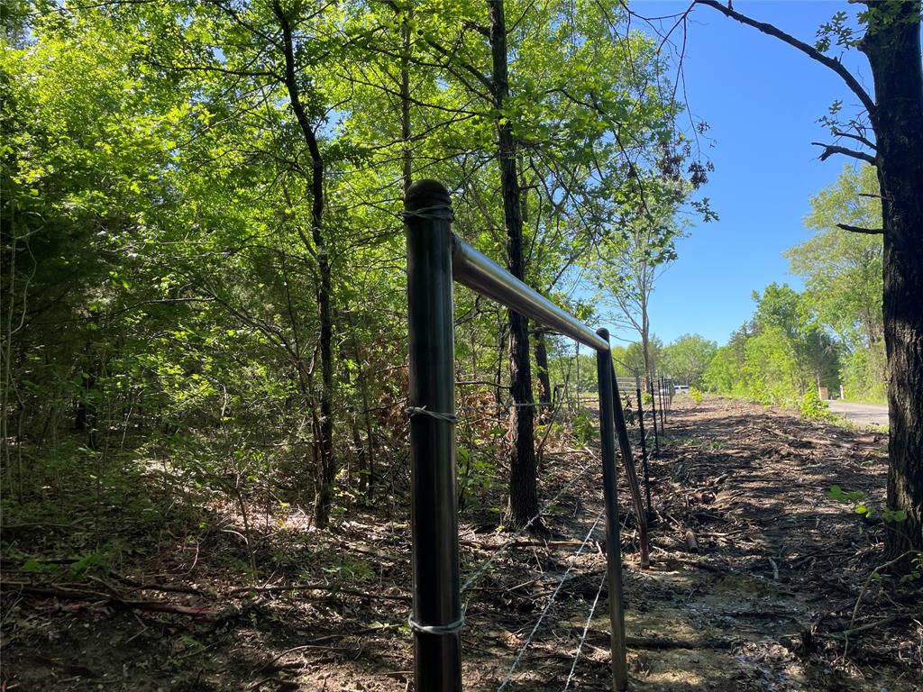 3 Key Road Sherman, TX 75090 - Photo 9 of 20 a view of trees and small yard