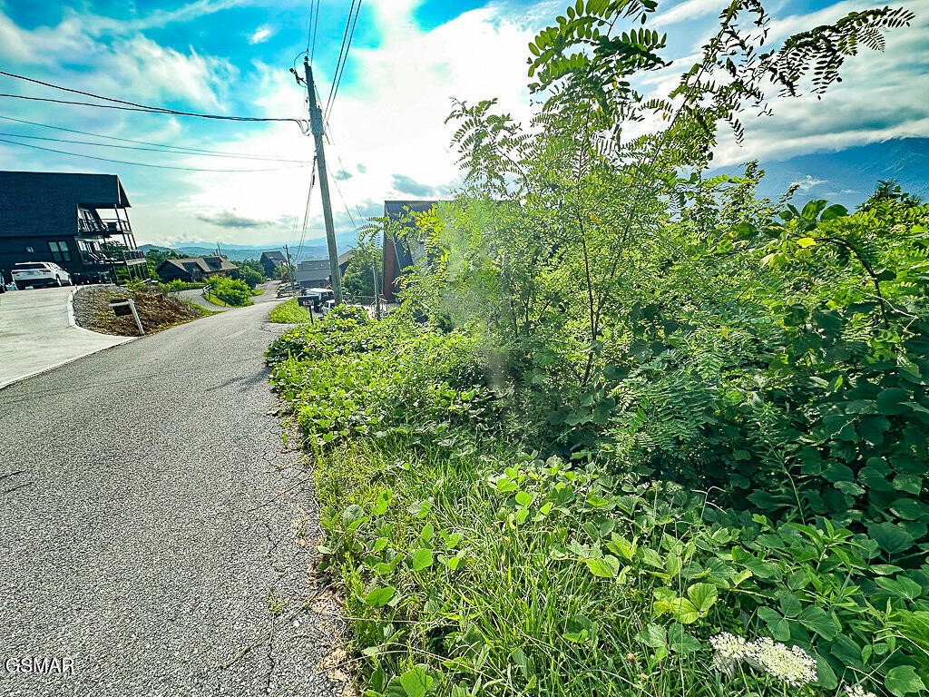 254 Village Loop Road Gatlinburg, TN 37738 - Photo 7 of 38 Gallery Image 7
