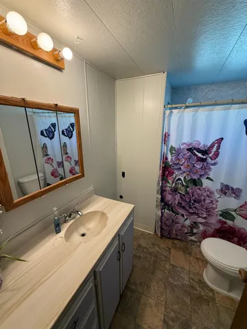 a bathroom with a sink mirror and toilet