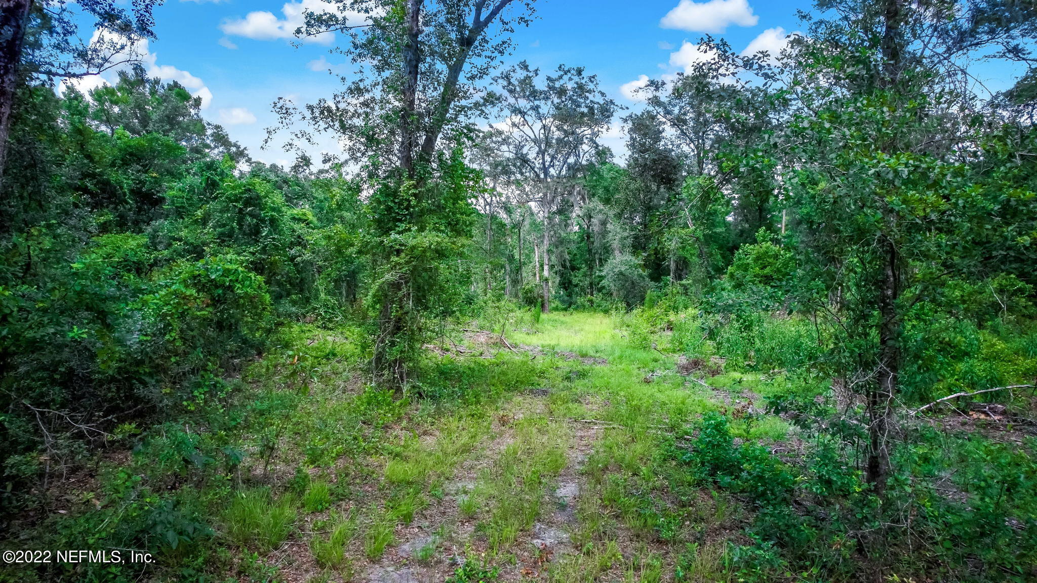 0 Tracy Road Hilliard, FL 32046 - Photo 1 of 7 1-web-or-mls-1_LR_Tracy_Rd_Allen